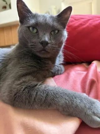 Mimi