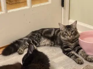 Benny
