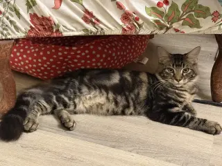 Benny