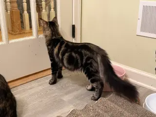 Benny