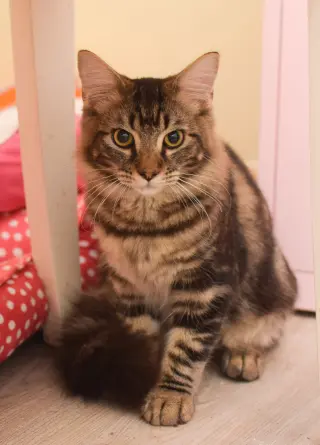 Benny