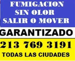 Fumigacion Economica $50