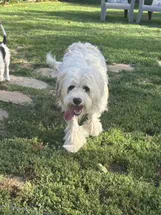 Marsha Mallow