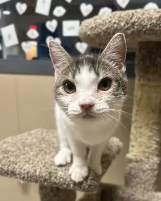 Ernie Mae