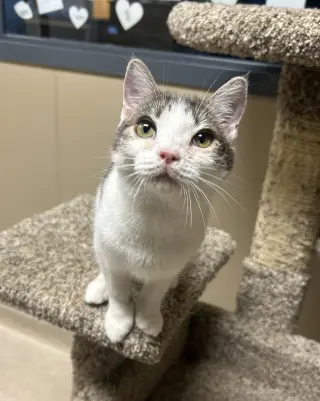 Ernie Mae