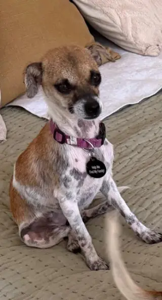 YZMA