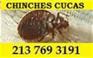 EXPERTOS CERTIFICADOS $39