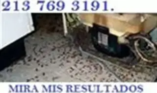 EXPERTOS CERTIFICADOS $39
