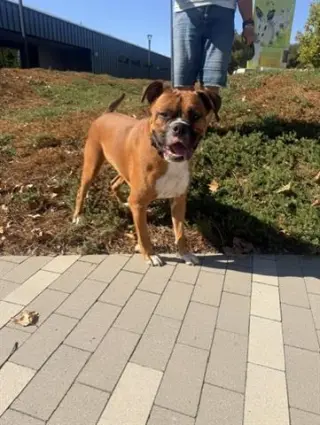 EUGENE
