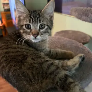Hermione