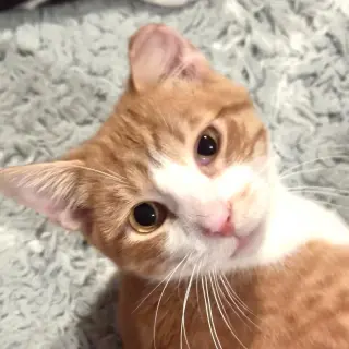 Benny