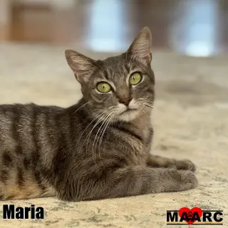 Maria