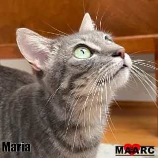 Maria