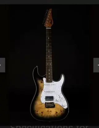Guitarrista Versátil