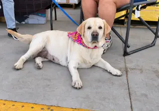 Maribel