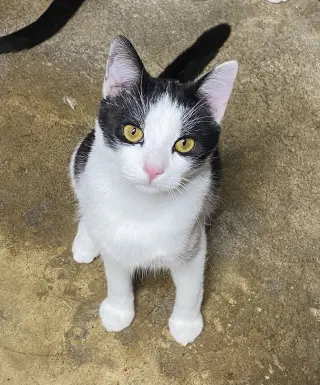 Max
