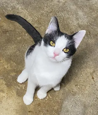 Max
