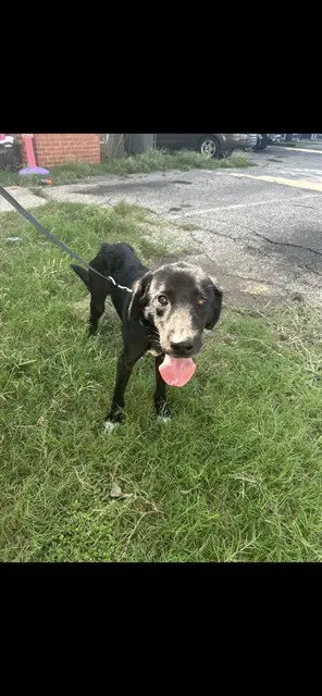 EDGAR