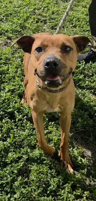 *MITZI