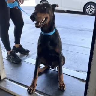 SNOOP