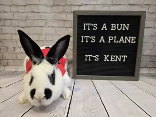 Kent