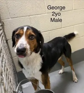 George
