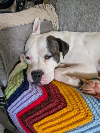 Max Love (Chester)