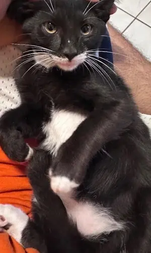 Batman - Center Foster Home