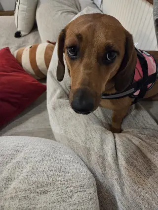Sadie