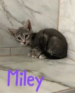 Miley