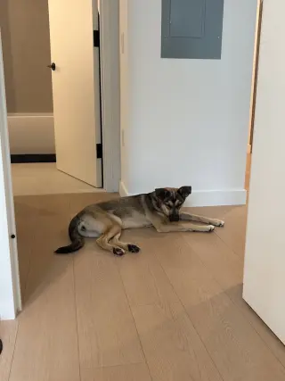 Winnie