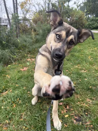Winnie