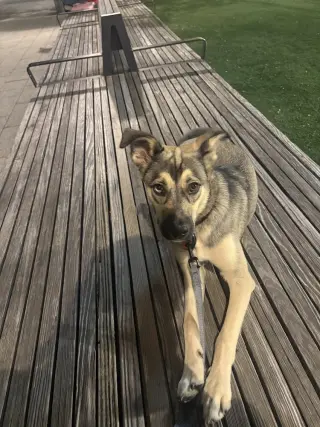 Winnie