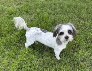 Rubi