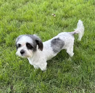 Rubi