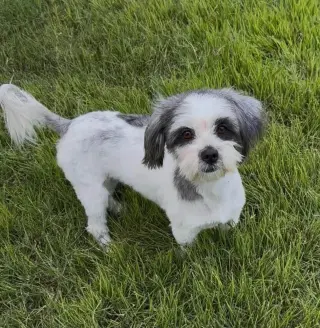 Rubi