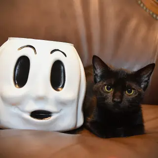 Boo