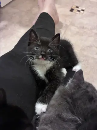 Snuggle