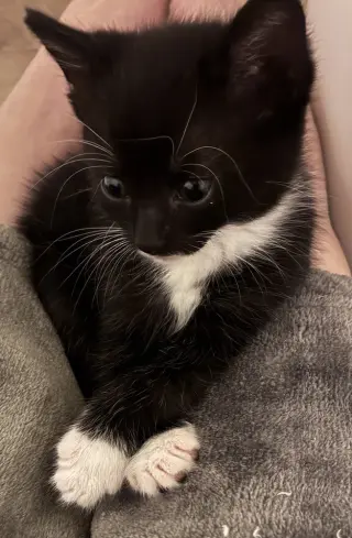 Snuggle