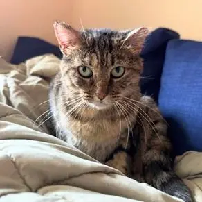 Junipurr aka Juni