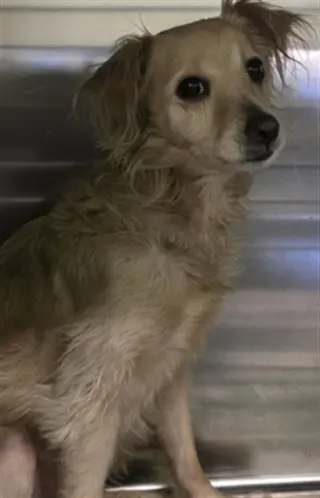 PALOMA