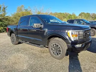 Ford F-150 2023 4x4 XLT 4dr SuperCrew 5.5 ft. SB