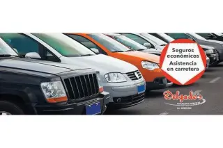 Delgado's Insurance