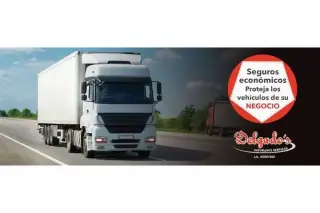 Delgado's Insurance