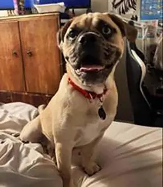 Chunk