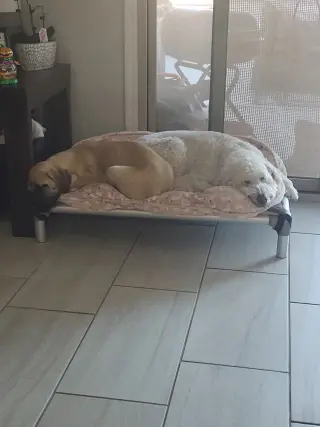 Winnie