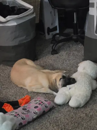 Winnie