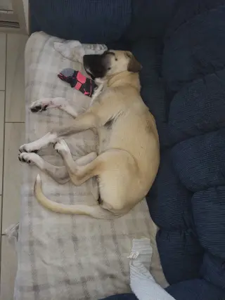 Winnie