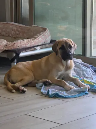 Winnie