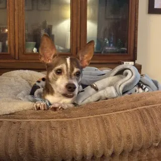 Yogi Berra